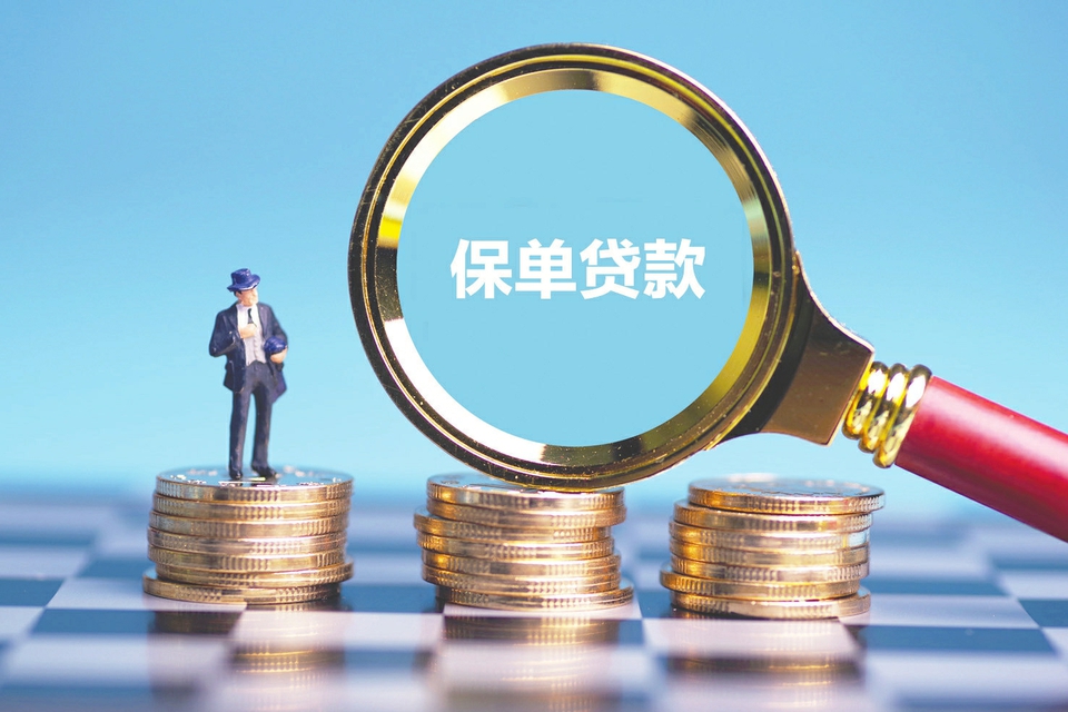 小额贷款申请与利率解析：让借款更轻松。